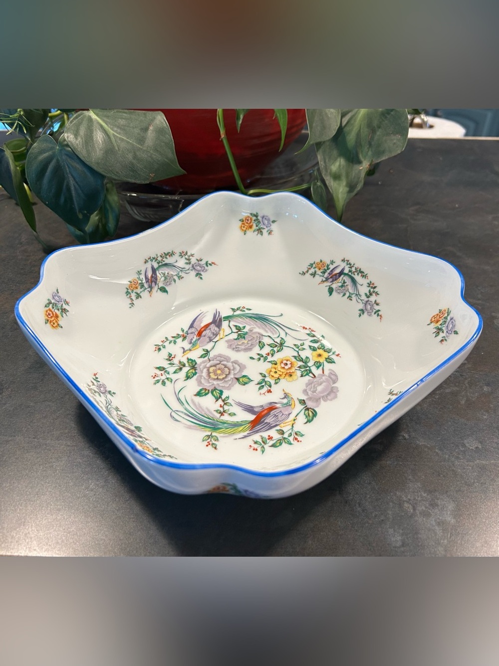 Chamart France Limoges 9" Bowl, 
 Rim Colorful Bird Design, Limoges France